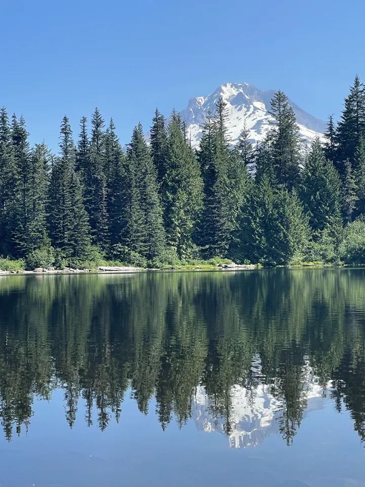 Mount Hood reflected in the calm water of Trillium Lake